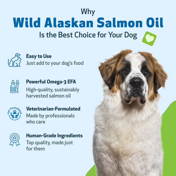 Wild Alaskan Salmon Oil - Omega-3s for Skin Health in Dogs(16 fl oz (473 ml) is a 1-2 month supply for Dogs)