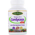 Paradise Herbs, Tibetan CS-4 Cordyceps, 60 Vegetarian Capsules