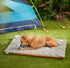 Frisco Travel Pillow Dog Bed with Reusable Storage Bag