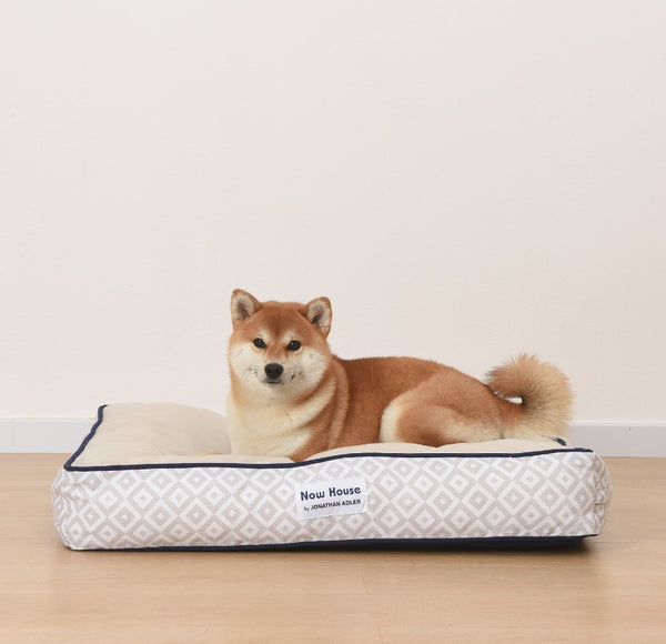 Jonathan Adler Now House Cushion Dog Bed