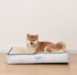 products/1_585c274e-59fe-4fd7-8b08-8f2fe54aeceb.jpg