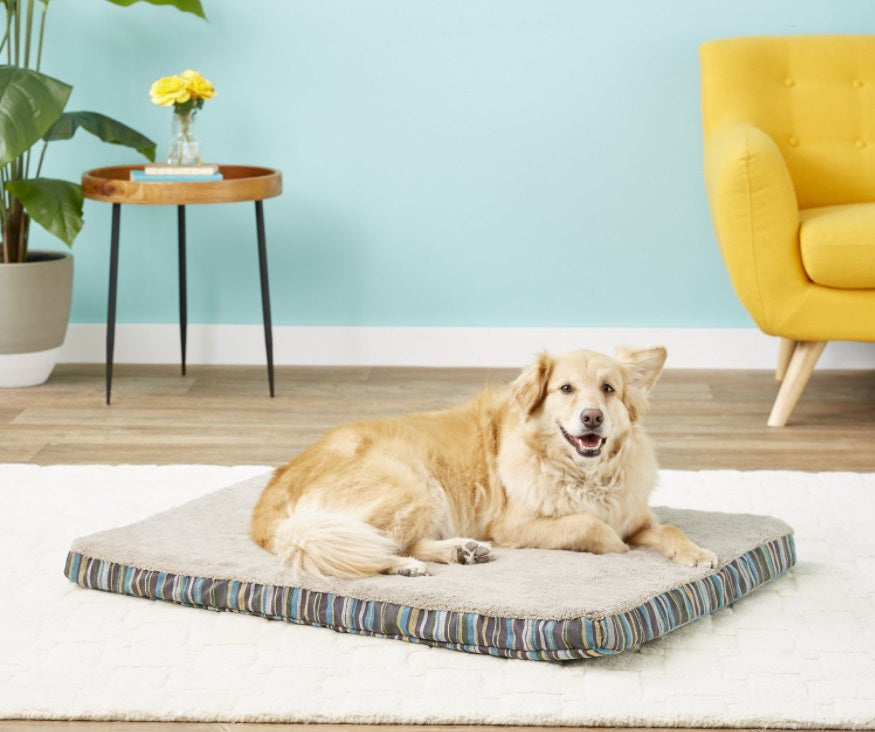Petmate Antimicrobial Deluxe Orthopedic Pillow Dog Bed w/Removable Cover