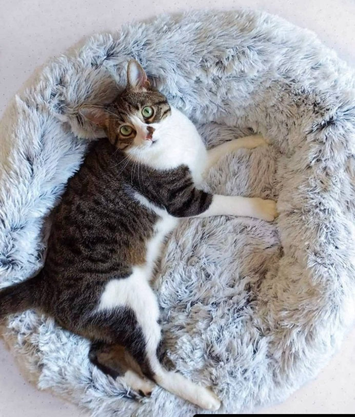 Mr. Peanut's OrthoPlush Orthopedic Cat & Dog Bed Color: Snowflake White Medium