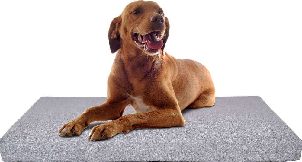 Petlibro Memory Foam Rectangular Dog Bed, Grey