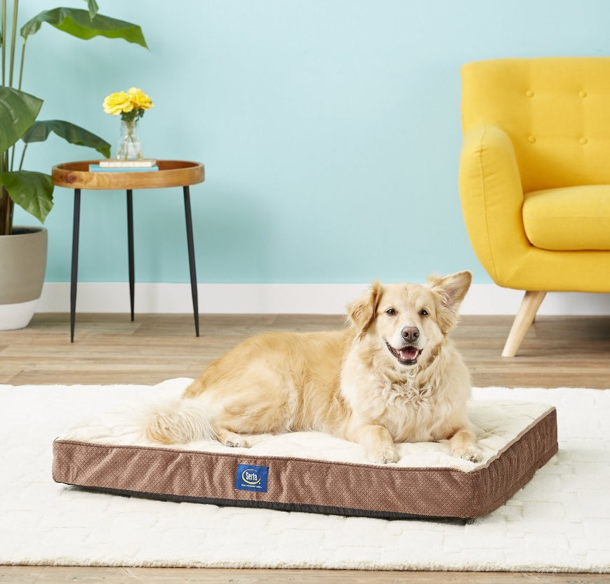 Serta Quilted Orthopedic Pillowtop Dog Bed w/Removable Cover