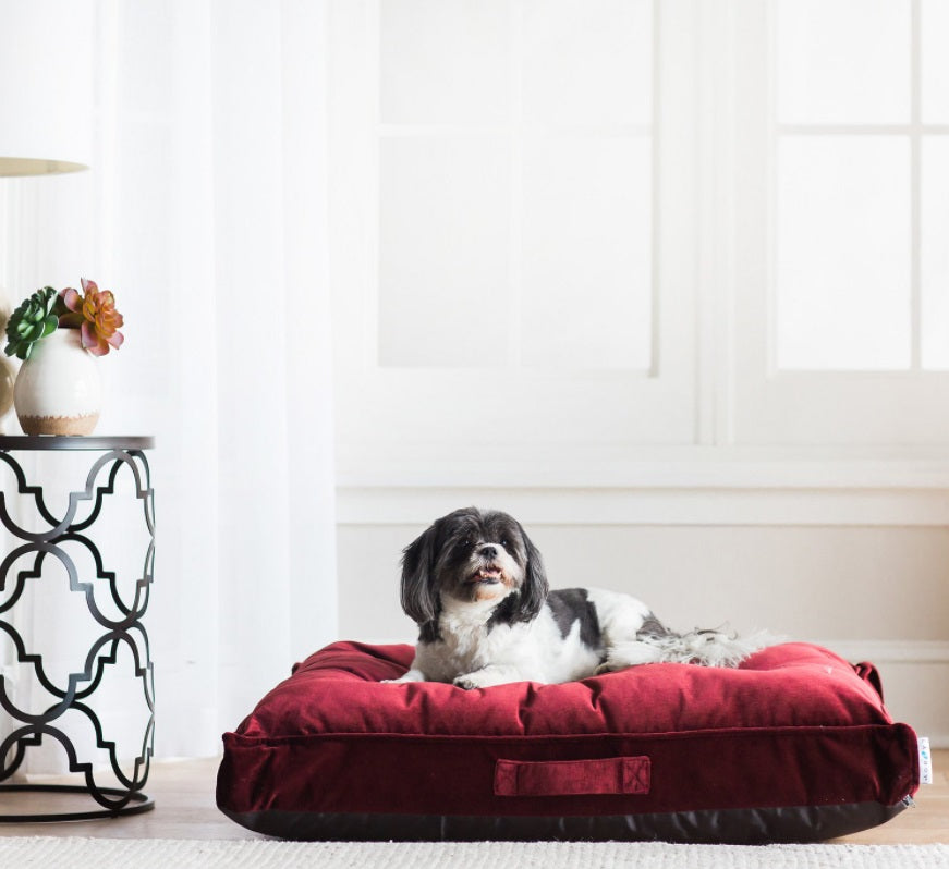 La-Z-Boy Cooper Mattress Pillow Dog Bed w/Removable Cover