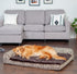 products/2_0fbea593-23f5-44ce-9f65-eff96d2c22fc.jpg
