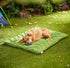 products/2_4cca2bde-8a28-49f8-852b-d389750f5690.jpg