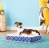 products/2_ac5c1d32-ab38-47ee-9fcc-154a8a644090.jpg