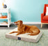 products/2_cb8dae88-835c-4d6c-bed2-7344dc2bb0d2.jpg