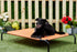products/2_ec316bea-8019-4783-8cb3-ee65e91c3243.jpg
