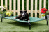 products/3_37020b3d-e1d8-4b6d-b902-80867c6c0f0c.jpg