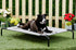 products/4_2c438647-48c5-4013-ac40-4b37ba781bb4.jpg
