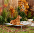 products/5_adcb2664-42b4-4026-b8be-83c9417e8f6f.jpg