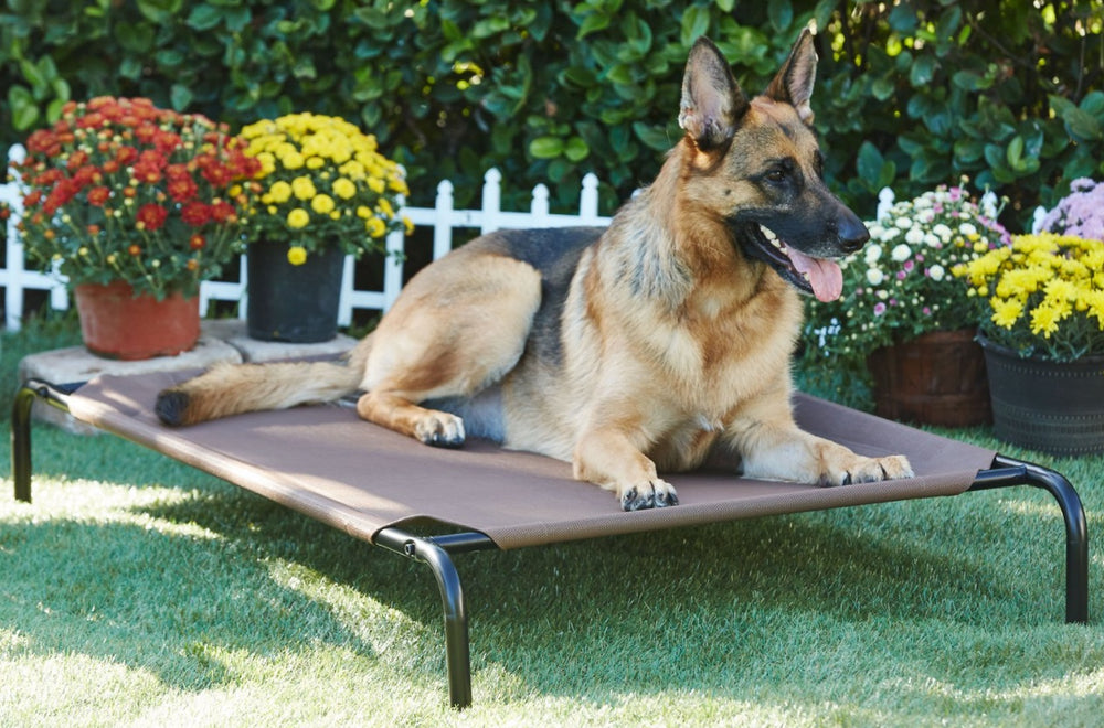 Frisco Steel-Framed Elevated Dog Bed