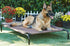 Frisco Steel-Framed Elevated Dog Bed