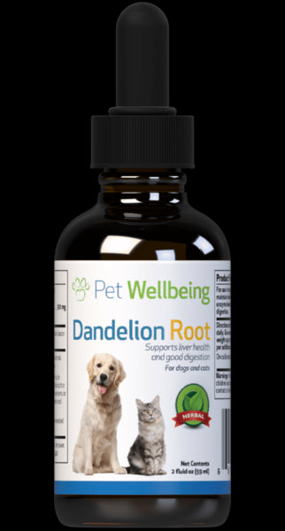 Dandelion Root for Cat Liver and Digestive Support (1 bottle = 2oz (59ml)(Free shipping over $50 Order)