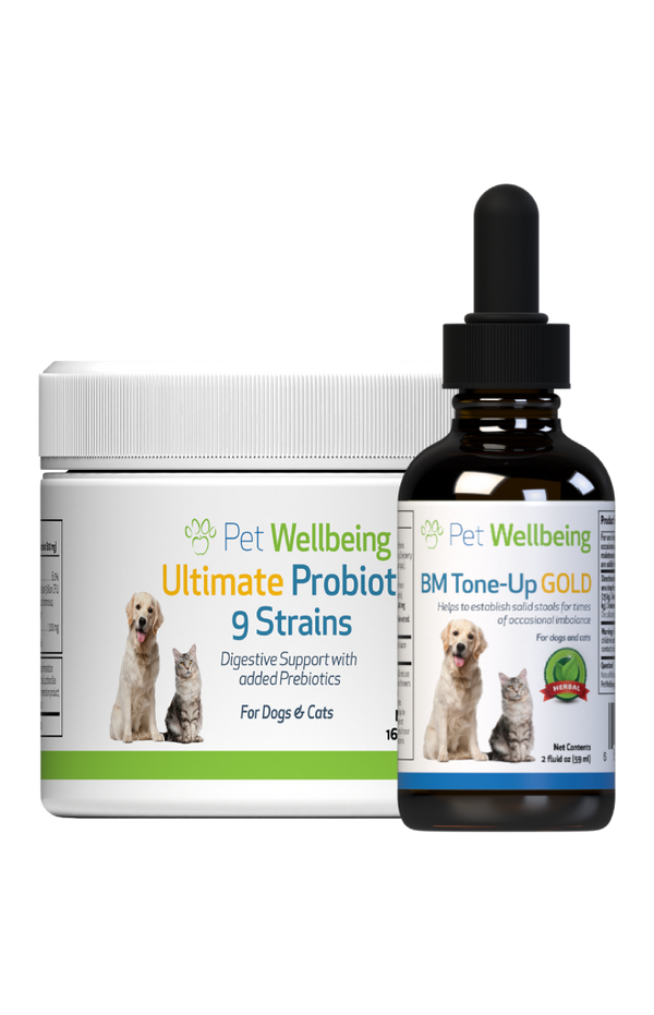 Value Pack Diarrhea Kit for dogs small size(1 BM Tone-Up Gold+ 1 Ultimate Probiotic 9 Strains)(Free shipping over $50 Order)