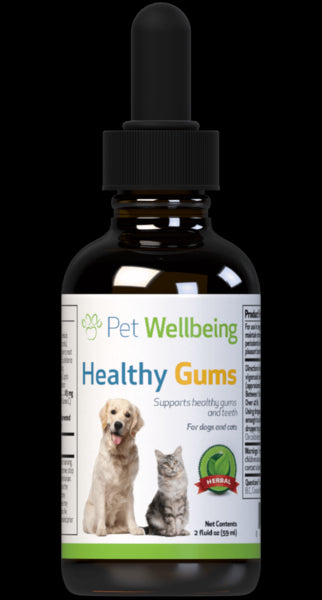 Healthy Gums for Canine Periodontal Health (1 Bottle = 2 oz (59 ml)(Free shipping over $50 Order)