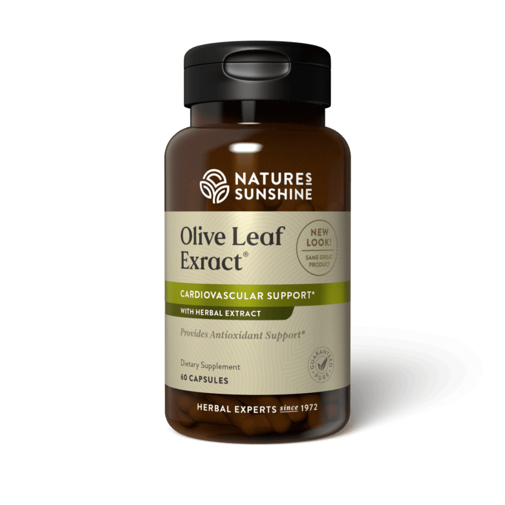 Olive Leaf Extract Concentrate (60 Caps)