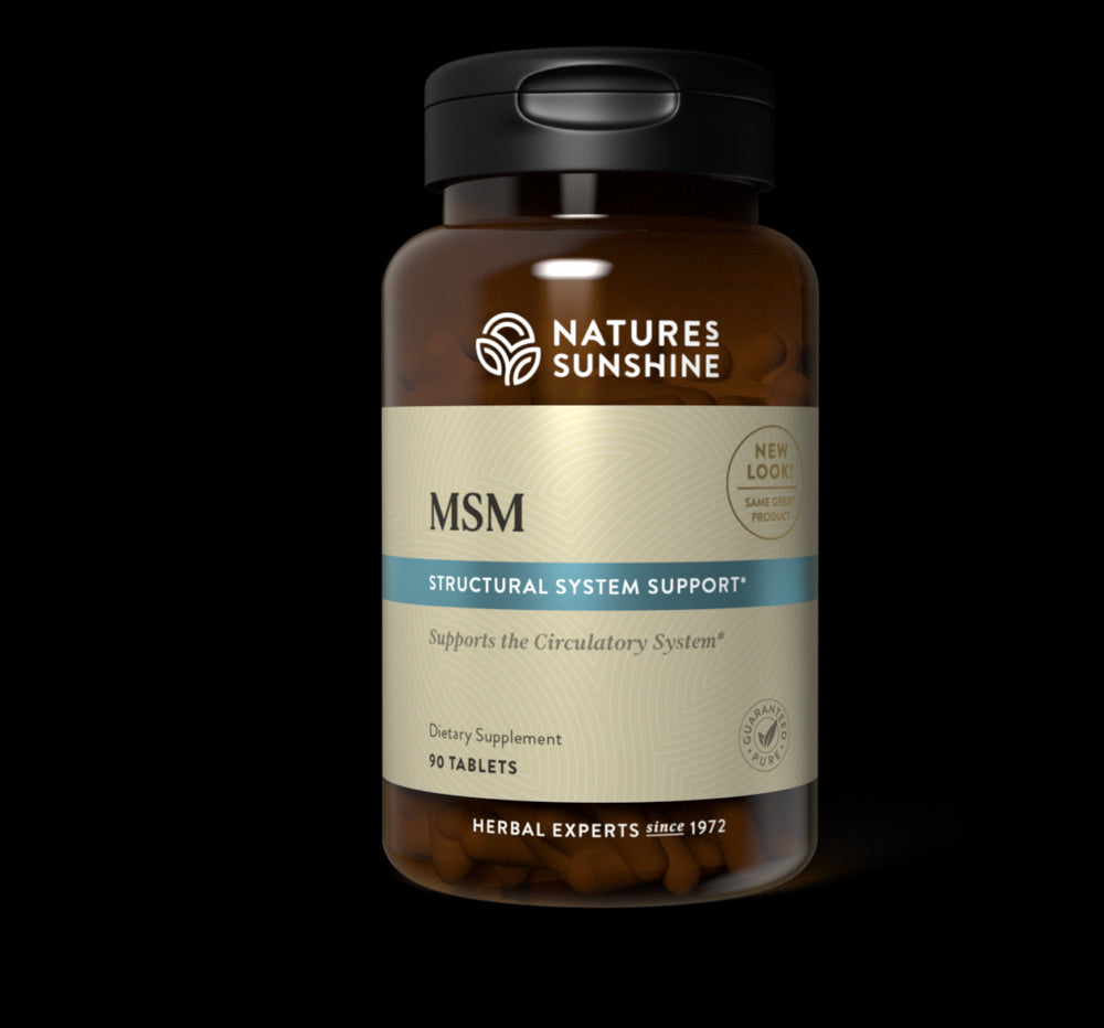 MSM (90 tabs)