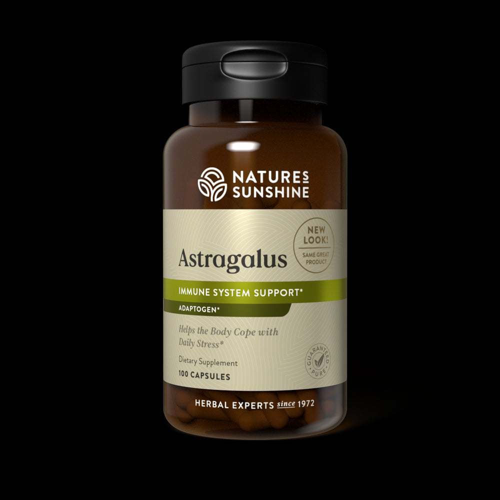 Astragalus (100 Caps)