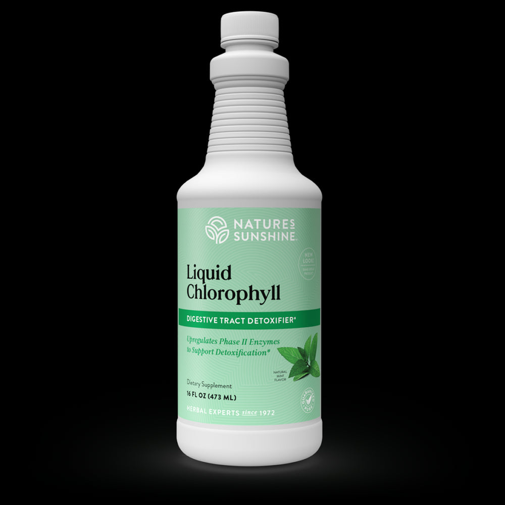 Chlorophyll, Liquid (16 fl. oz.)