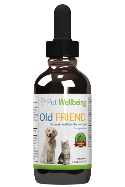 Old Friend for Senior Cats