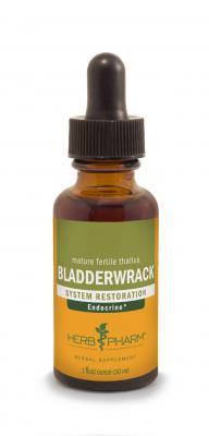 Bladderwrack