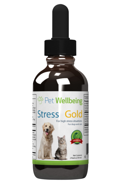 Stress Gold for High Stress Situations in Cats