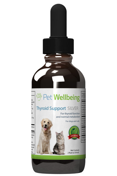 Thyroid Support Silver for cat Hypothyroidism (1 Bottle - 2 oz)(Free shipping over $50 Order)