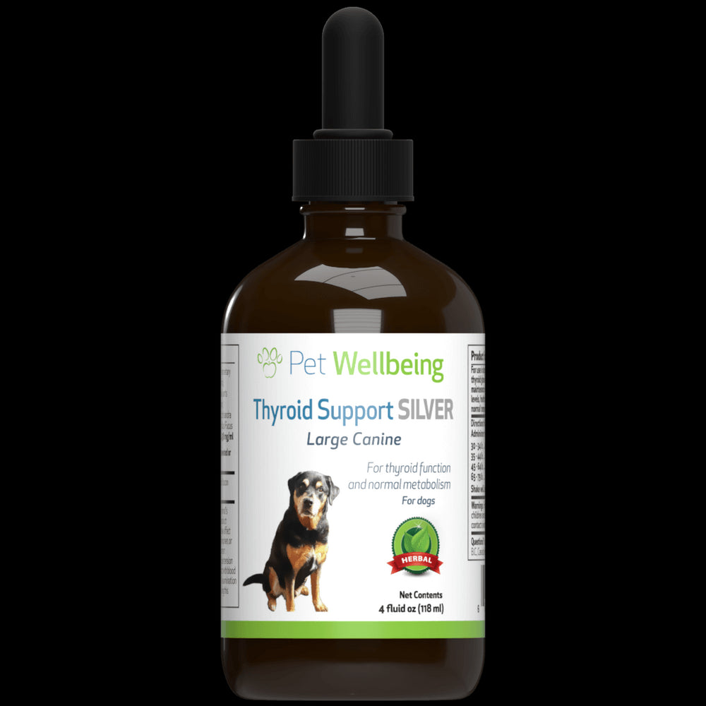Thyroid Support Silver for Dog Hypothyroidism (1 bottle = 2 oz or 4 oz) )(Free shipping over $50 Order)