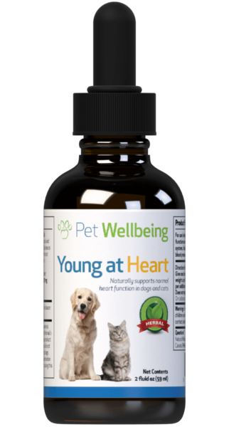 Young at Heart for Cat Heart Disease