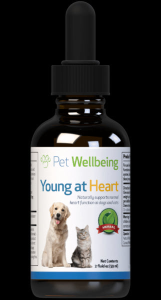 Young at Heart for Cat Heart Disease (1 bottle = 2oz (59ml)(Free shipping over $50 Order)