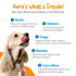 products/chew3.webp