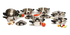 cookware