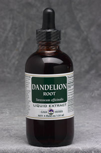 Dandelion Root