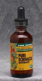 Echinacea