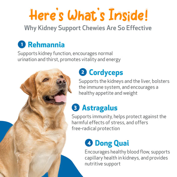 Kidney Support Chewies for Dogs(Normal urine output and thirst (fluid balance),90 Chews)