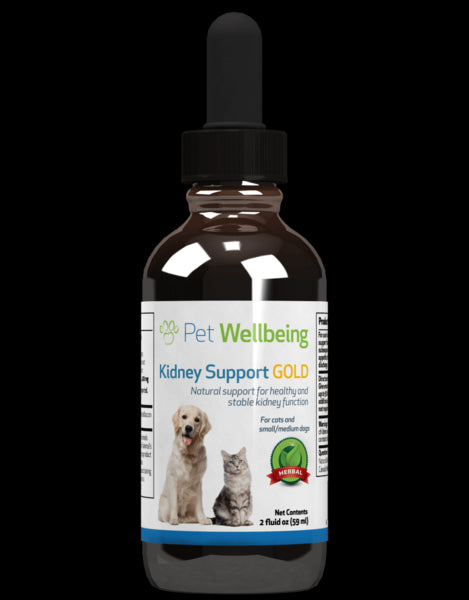Kidney Support Gold - Cat Kidney Disease Support (1 bottle = 2oz (59ml)(Free shipping over $50 Order)