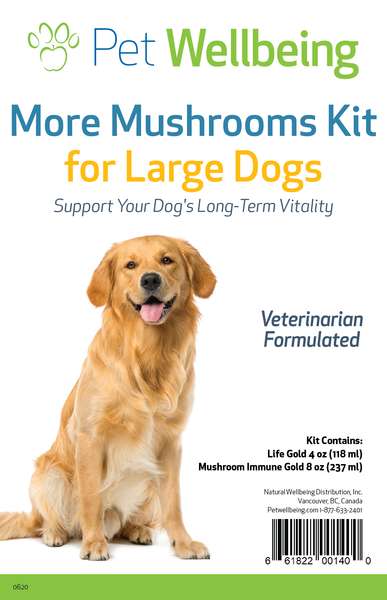 More Mushrooms Kit for Dog Cancer(Free shipping over $50 Order)