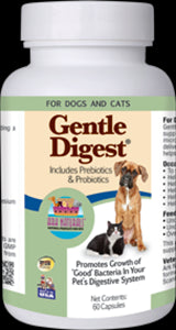 Premium Holistic Formula for Cats & Kittens