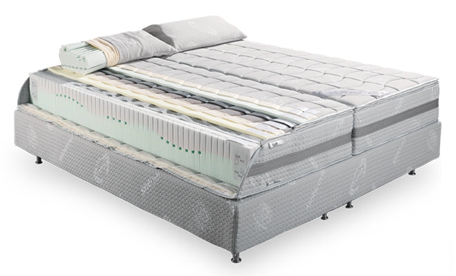 Zenus Sleep System