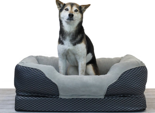 BarksBar Snuggly Sleeper Orthopedic Bolster Dog Bed w/Removable Cover, Gray