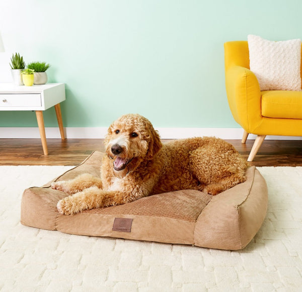 American Kennel Club Extra Large Memory Foam Pillow Dog Bed w/Removable Cover