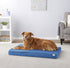 Frisco Quilted Orthopedic Pillow Cat & Dog Bed w/Removable Cover