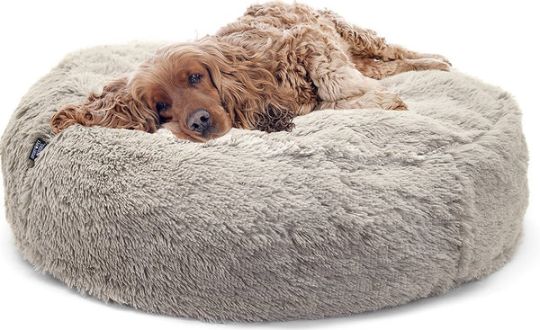SP Comfy Dog Bed, Large