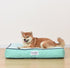 Jonathan Adler Now House Cushion Dog Bed