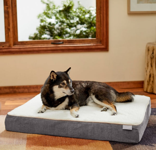 Frisco Orthopedic Pillow Cat & Dog Bed
