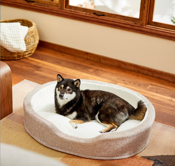 Frisco Bolster Cat & Dog Bed